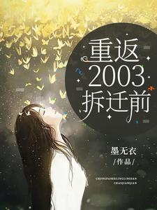 重返2003拆迁前